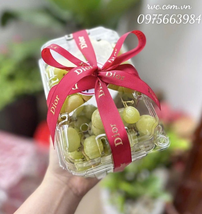 hộp nhựa P1000B