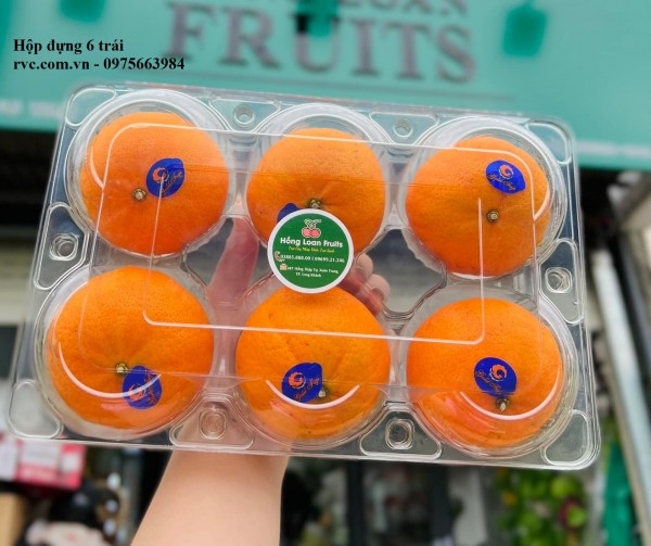 Hộp nhựa đựng 6 trái