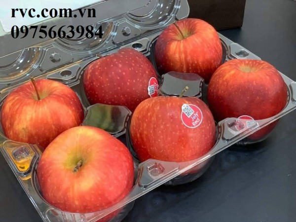 Hộp nhựa đựng 6 trái táo, cam, lê