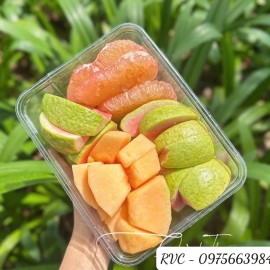 Hộp nhựa trong F175