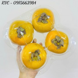 Hộp nhựa đựng 4 trái